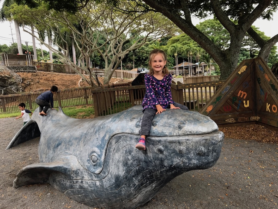 Big Island Hawaii family vacation | playgrounds for kids