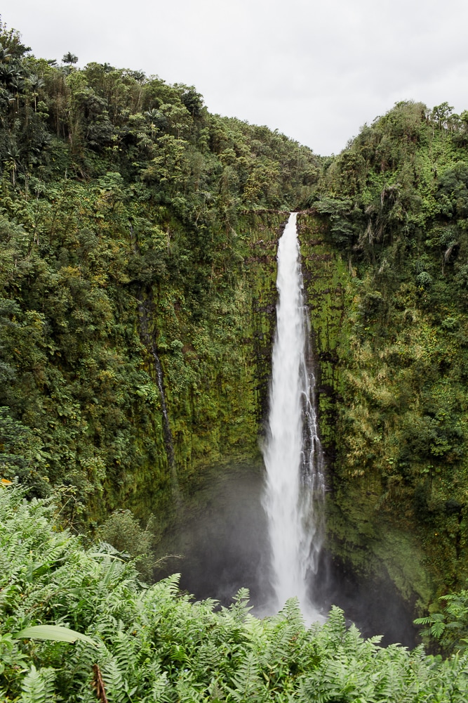 Akaka Falls | Big Island Hawaii family vacation