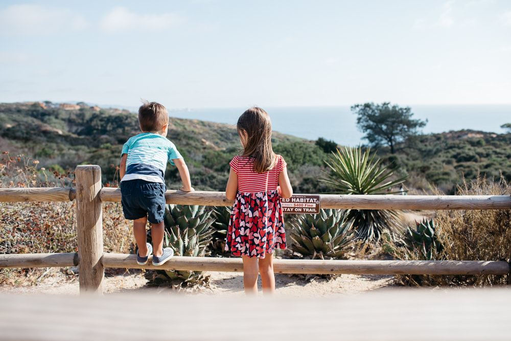 Adventuring with kids in San Diego | Torrey Pines